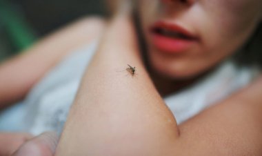How Monsoon Diseases like Malaria and Dengue Can Increase Your Covid-19 Risk?