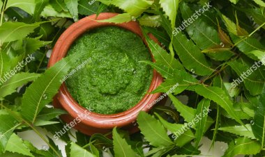 Different Ways To Use Neem To Keep Dandruff Out Of Your Life And Hair