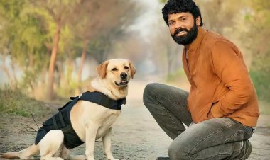 777 Charlie Movie : A celebration of unconditional love and loyalty